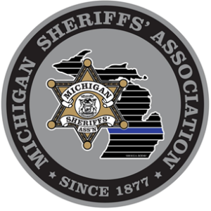 MSA Decal Silver